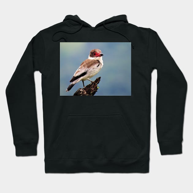 Exotic White Bird in Central America Photography Hoodie by julyperson